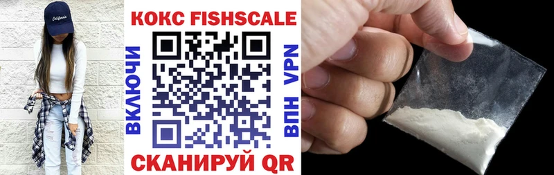 Купить закладки  Советская Гавань  Cocaine Fish Scale 