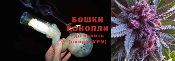 шишки Кинешма