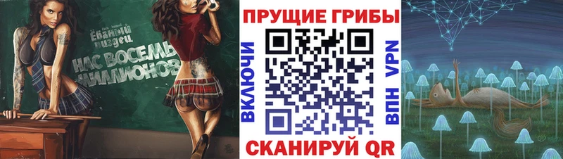 Галлюциногенные грибы Magic Shrooms  Купить  Советская Гавань 